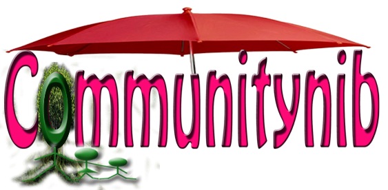 communitynib.com Online Networking System