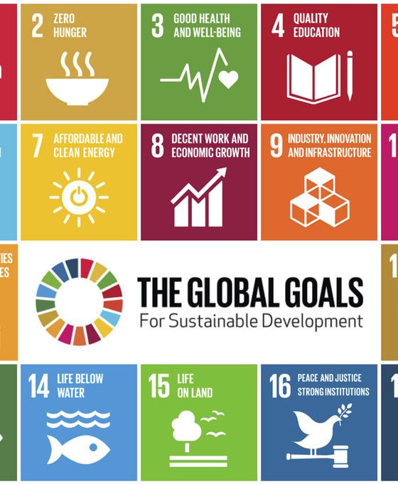 The-UN-17-Sustainable-Development-Goals-SDGs-implemented-by-all-the-worlds-countries